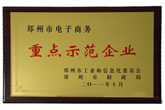 榮獲電子商務(wù)重點示范企業(yè)